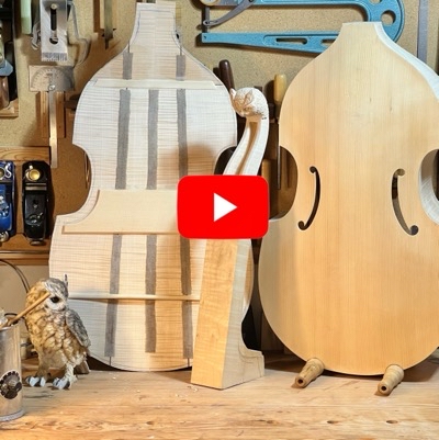 aquarellmalerei der Gambendecke